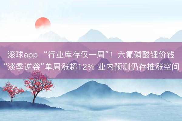 滚球app  “行业库存仅一周”！六氟磷酸锂价钱“淡季逆袭”单周涨超12% 业内预测仍存推涨空间