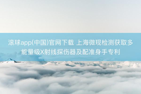 滚球app(中国)官网下载 上海微现检测获取多能量级X射线探伤器及配准身手专利